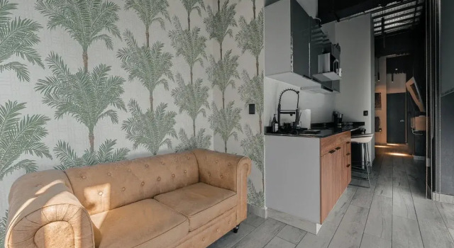 The Palm Loft Modern Comfort With a Fully Equipped Kitchen, Book Apartment SPA Hotels in Mexico DF, SPA