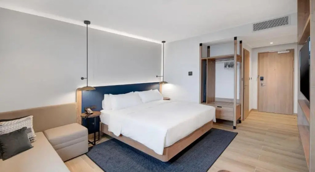 Двухместный номер Hilton Garden Inn Bucharest Airport