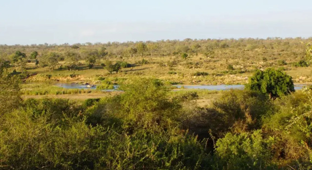 Коттедж Marloth Park Hippo House