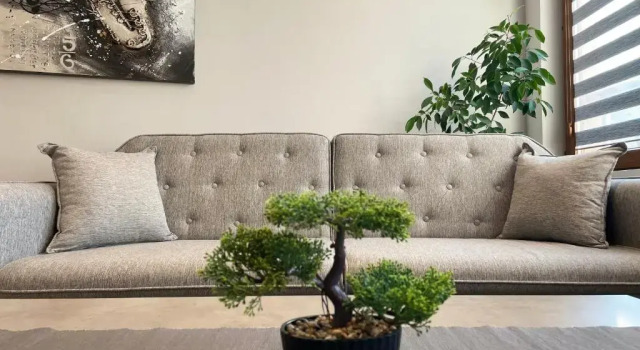 Апартаменты Shushi's Central Studio Apartment