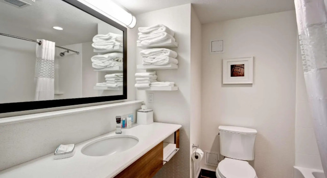 Четырёхместный номер Standard Hampton Inn & Suites - Medicine Hat