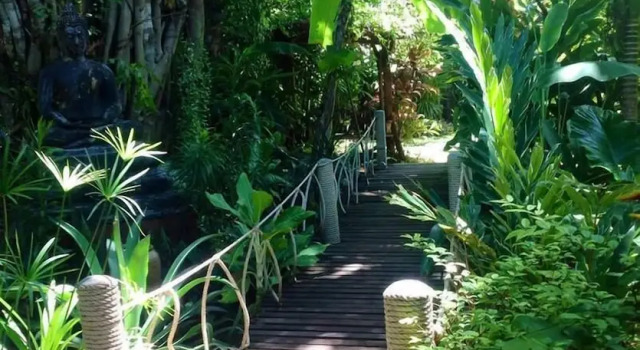 Люкс с балконом Jungle Bay Resort
