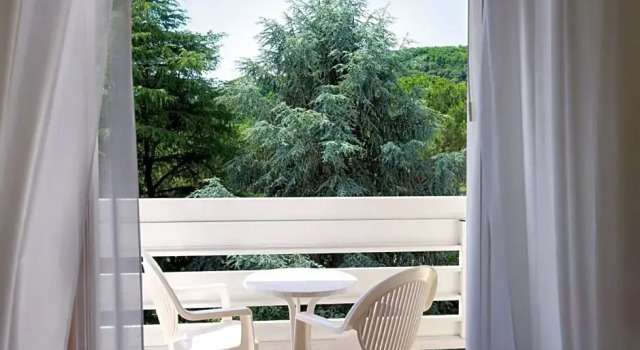 Номер Deluxe с балконом Hotel Apollo Terme