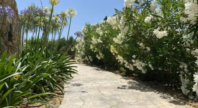 Вилла Deluxe Seaside Naxos • Holiday Villas