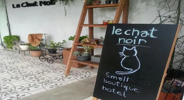 Le Chat Noir