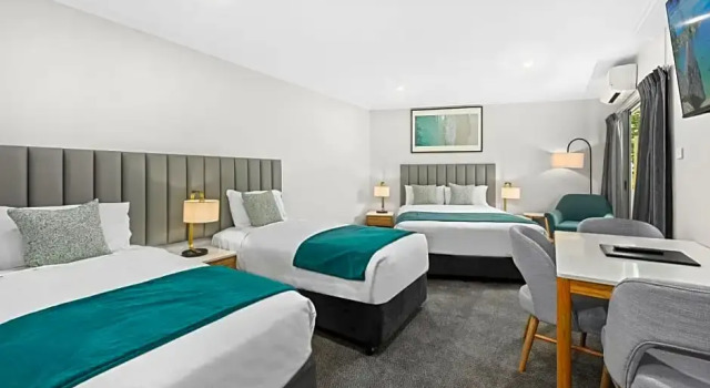 Номер Standard Palm Court Motor Inn
