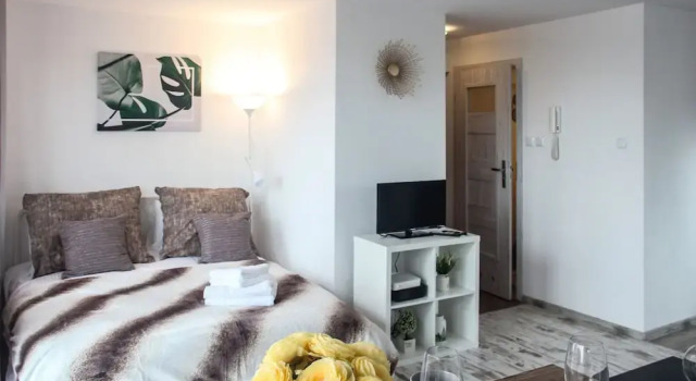 Sunny City Center Apartment