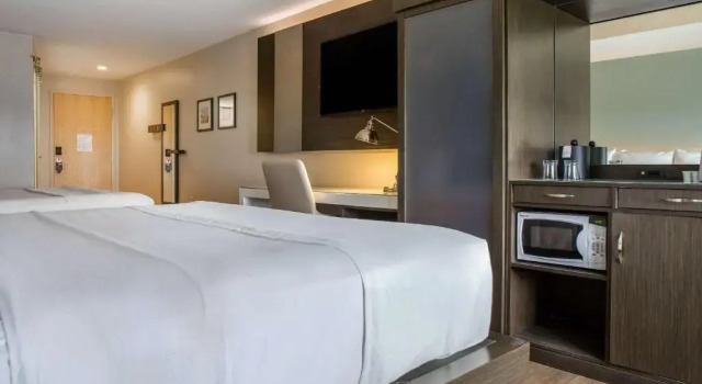 Четырёхместный номер Standard Wyndham Newport Hotel