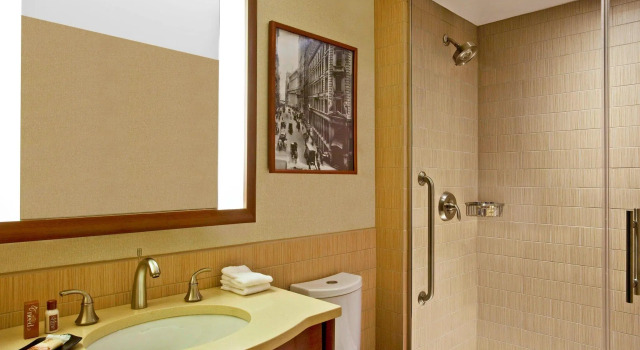 Двухместный номер с видом на город Sheraton Tribeca New York Hotel
