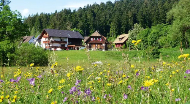 Апартаменты Landhaus Anja
