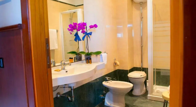 Трёхместный номер Standard Hotel Dei Pini