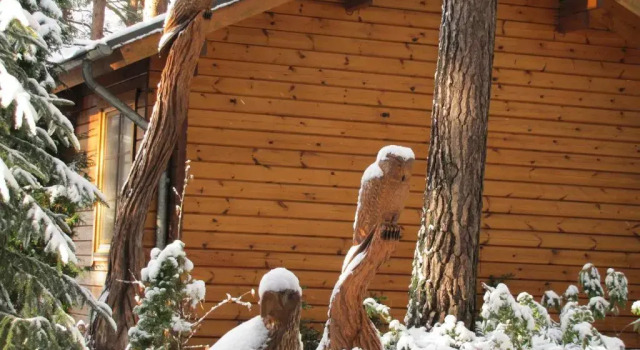 Бунгало Hotel Kaliebe