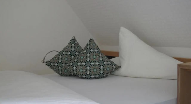 Одноместный номер Standard Hotel Anlage Heidelberg