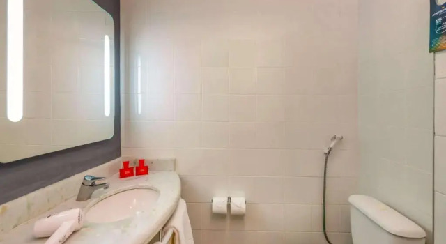 Номер Standard ibis Paulinia