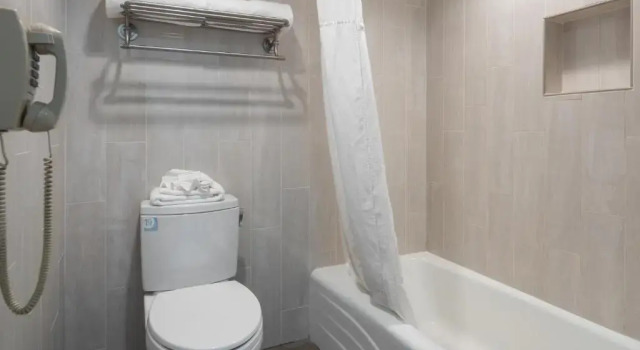 Четырёхместный номер Standard Atherton Park Inn and Suites