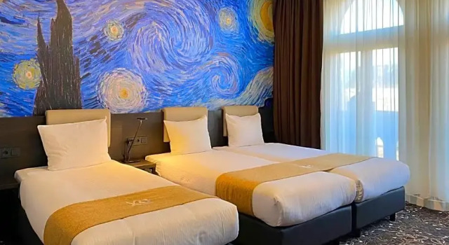 Номер Standard Hotel Van Gogh