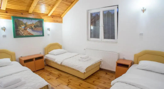 Апартаменты Standard Hotel Pavlović