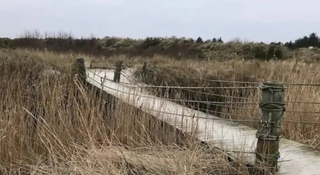 Коттедж 4 star holiday home in Ålbæk