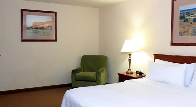 Двухместный люкс Holiday Inn Express & Suites Farmington Bloomfield by IHG