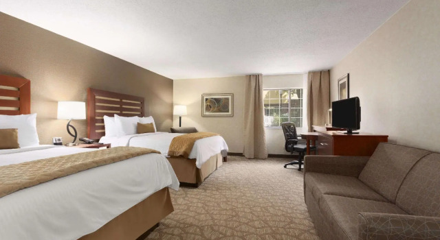Четырёхместный люкс Wyndham Garden Grand Rapids Airport