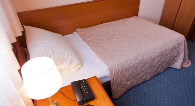 Одноместный номер Standard Hotel Rubin