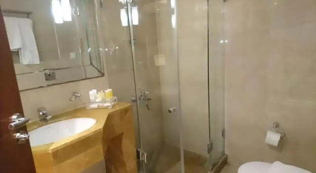 Двухместный номер Deluxe King Suites Hotel