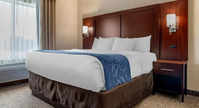 Люкс Comfort Suites Pell City near Logan Martin Lake
