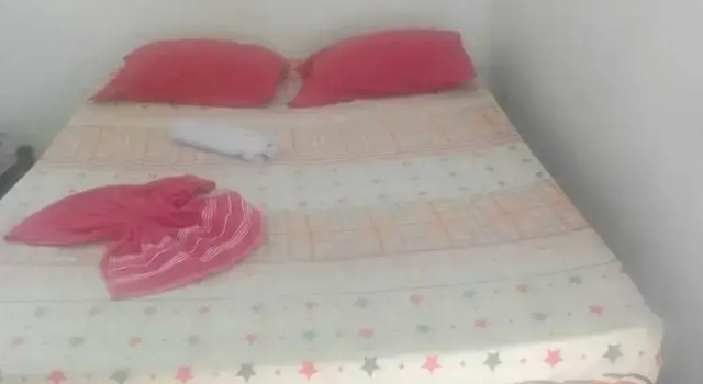Номер Standard Pousada Só Alegria