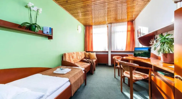 Номер Standard Hotel Flóra