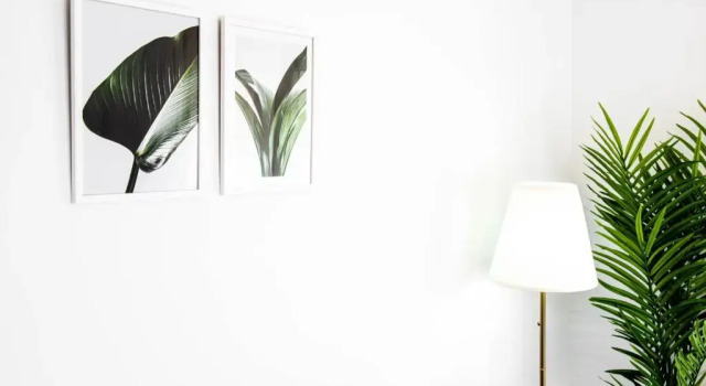 Apartamentos Toboso Plaza