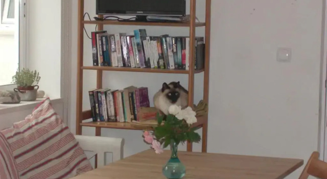 Коттедж Pássaro do Fogo