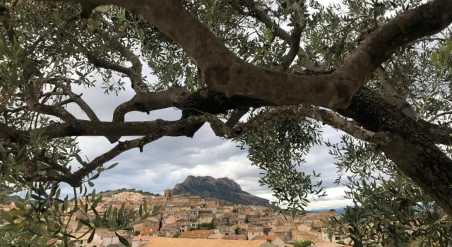 Студия studio EL PARAISO Roquebrune sur Argens