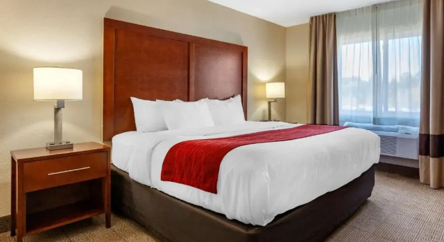 Люкс Comfort Inn Rhinelander