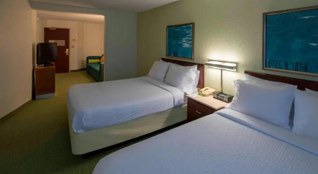 Двухместная студия SpringHill Suites by Marriott Chicago Bolingbrook