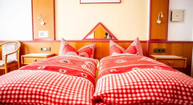 Номер Standard Angerhof Apartment
