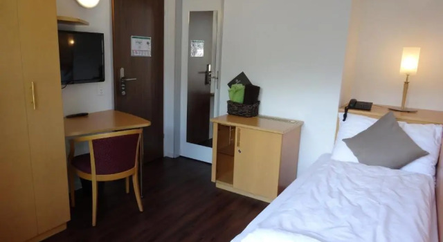 Одноместный номер Comfort с видом на горы Seerausch Swiss Quality Hotel