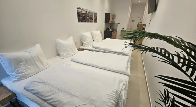 Четырёхместная студия Superior ApartHotel Rahl