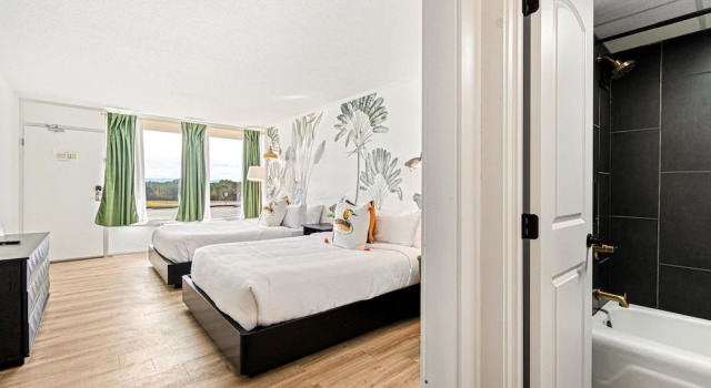 Camera doppia Deluxe The Mallard Hotel & Suites