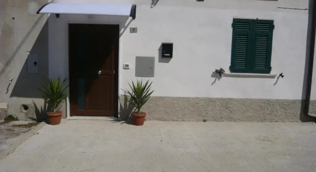 La Casa di Balto, Un Nido Per 2