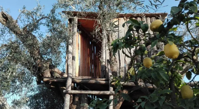 Le Case Di Bacco, Book Hotel Hotels in Sicily with a Pool, Swimming Pool