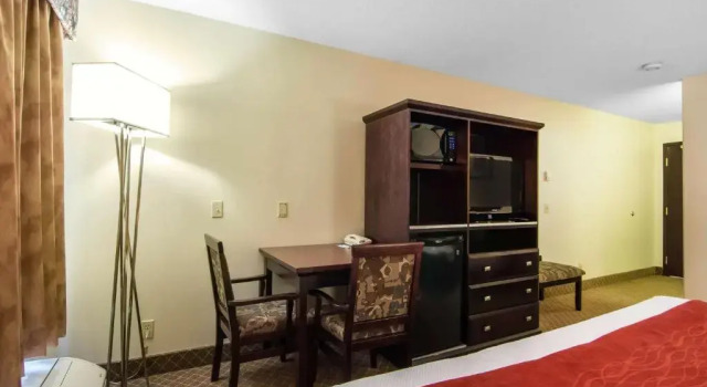 Номер Standard Comfort Inn & Suites Airport South