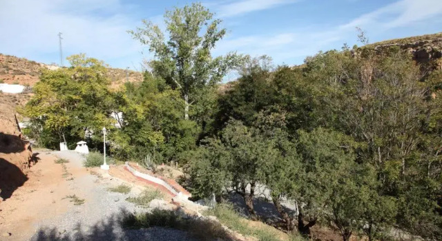 Номер Standard Casas Cueva y Cortijo La Tala en Guadix