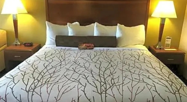 Номер Executive Best Western Plus Executive Inn