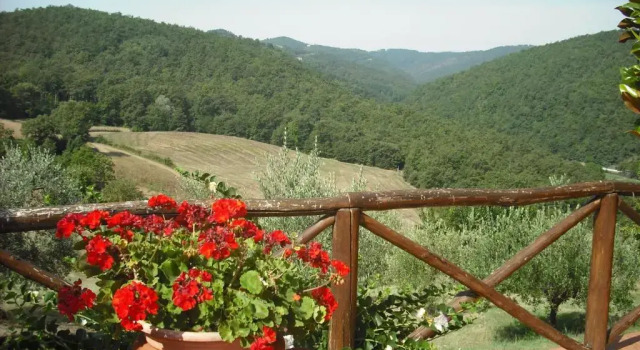 Полулюкс Agriturismo La Scarpaia