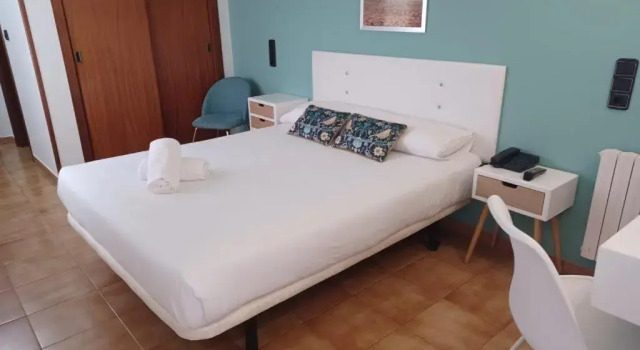 Одноместный номер Standard Hotel Delfin Azul