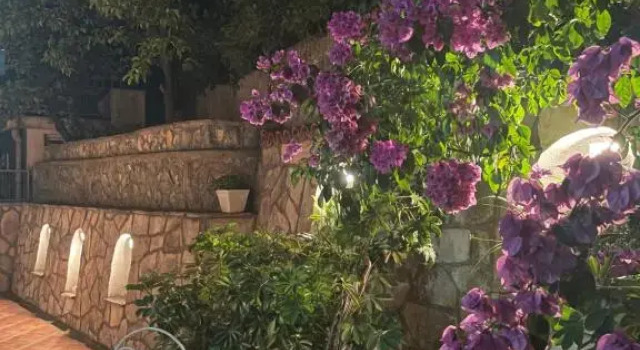 Apartmani IVA Bečići