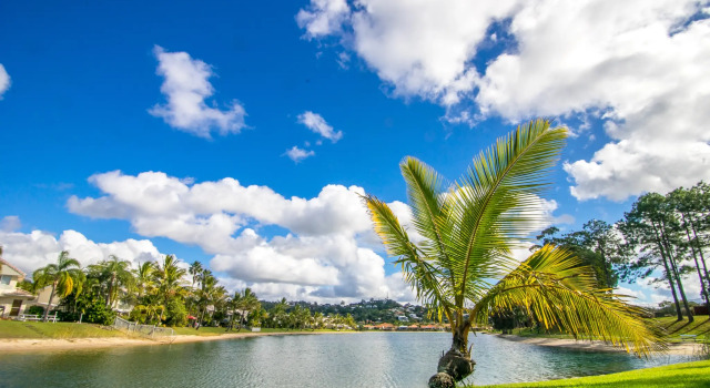 Номер Standard c 1 комнатой с видом на озеро Bay of Palms