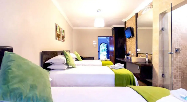 Одноместный номер Luxury OR Tambo Guest House