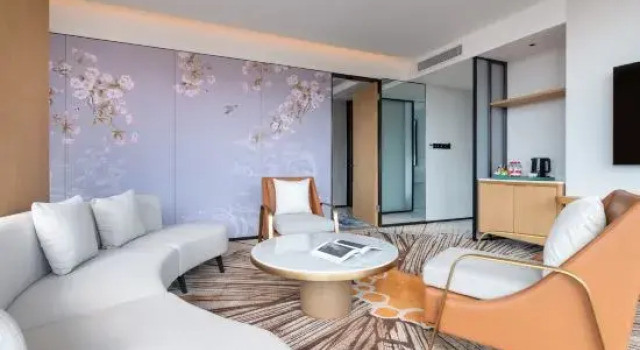 Люкс Executive Summer Hotel