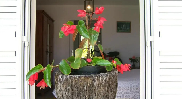 Номер Standard Holiday Home La Caverne Des Hirondelles